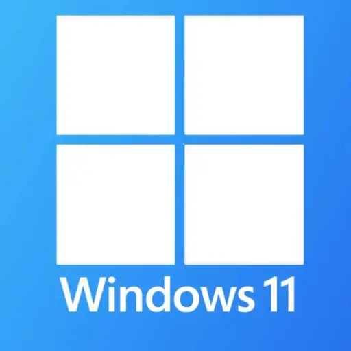 Windows 11 Pro Key